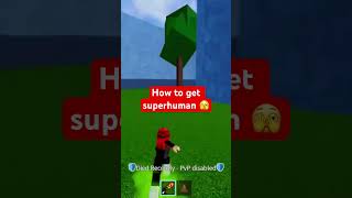 How to get superhuman and showcase on Blox fruit roblox bloxfruit [upl. by Zilada]