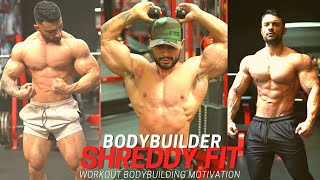 Shreddyfit♥ GymWorkout  Fitness Lifestyle  Body Transformation YouTubeShorts shreddyfit [upl. by Wera]