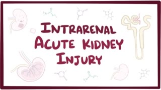 Intrarenal acute kidney injury acute renal failure  causes symptoms amp pathology [upl. by Alikee]