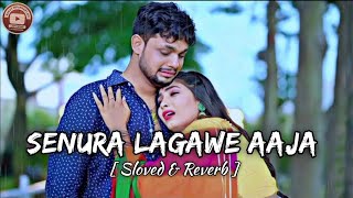 video SHENURA LAGAWE AAJA  Latest  slowed amp reverb 2024 सेनुरा लागावे आजा Bhojpuri song [upl. by Getraer545]