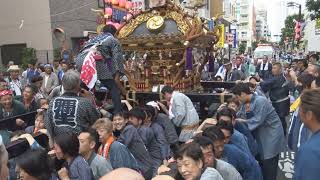 令和５年 三鷹市 ＜下連雀・八幡大神社＞例大祭 〈一之宮・二之宮〉神輿＝渡御（中央通り） [upl. by Yruj]