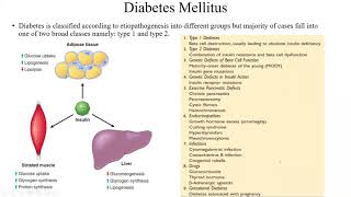 Pathology Made EasySystemic Pathology 3Pancreatic Diseases2 [upl. by Adnawad]