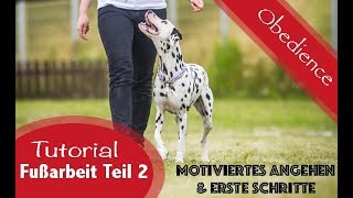 Aufbau der Fußarbeit  Teil 2  Motiviertes Angehen amp Erste Schritte  Obedience  Tutorial [upl. by Kiele534]