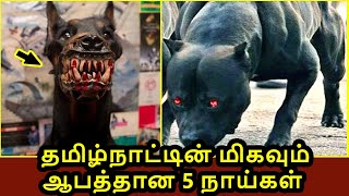 நாய் 5 வரிக் கட்டுரை  நாய் தமிழ் கட்டுரை  5 Lines on Dog inTAMIL  DOG Essay Tamil [upl. by Iel]