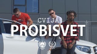 CVIJA  PROBISVET OFFICIAL VIDEO [upl. by Jahn]