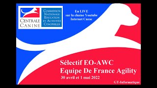 CNEAC  2  Sélectif EOAWC Equipe De France Agility  Dimanche 1er mai 2022 [upl. by Rimaj369]