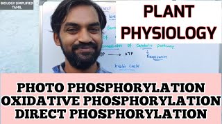 Photophosphorylation  Oxidative Phosphorylation  Direct Phosphorylation [upl. by Eiuqnom]