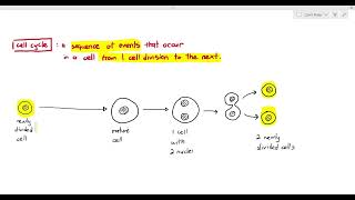 51 Introduction to the Mitotic Cell Cycle Cambridge AS A Level Biology 9700 [upl. by Demodena546]