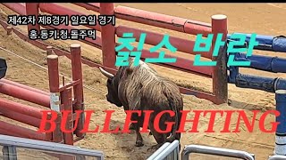 3경기 영상 연속BULLFIGHTING 대반격이 시작됩니다 [upl. by Undis121]