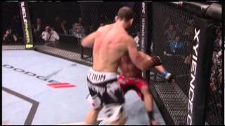 Wanderlei quotThe Axe Murdererquot Silva Highlights [upl. by Atnes]