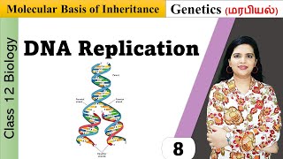 DNA Replication  Enzymes and mechanism of replication [upl. by Hanson800]