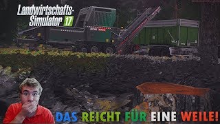 LandwirtschaftsSimulator 2017  Das reicht für eine Weile [upl. by Chivers]