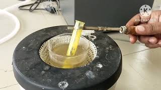 Fructose  Confirmatory test  Osazone test  Carbohydrates  Biochemistry Laboratory [upl. by Yerdna536]