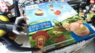 ドキドキ発見！こびとづかんミニケース 全８種類 「イケノミズクサが可愛すぎるの巻！！」 [upl. by Curhan]