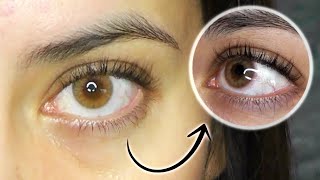 Most Natural Brown Contact Lenses BEST Brown Contact Lenses IN THE WORLD [upl. by Ayhtnic]