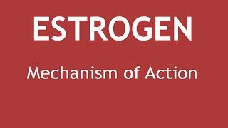 Mechanism of Action of Estrogen  Dr Shikha Parmar [upl. by Hcnarb]