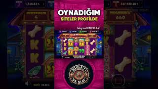 SLOT OYUNLARI DOG HOUSE BÜYÜK KAZANÇ [upl. by Donaugh655]