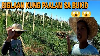 PAALAM PO MUNA TAYO SA BUKID [upl. by Ennaear]