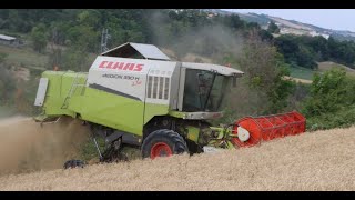 Claas Medion 330H 4Trac Az Agr Flli Di Nicola Harvest Season 2021 [upl. by Tamma]