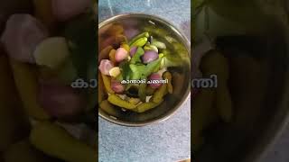 കാന്താരി ചമ്മന്തി സൂപ്പർ kantare Chammanti Supperlike cooking support [upl. by Gage899]