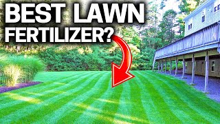 What is the BEST LAWN Fertilizer  STOP Wasting Money [upl. by Javier851]