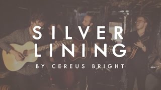 Cereus Bright  Silver Lining Live [upl. by Jacklin]