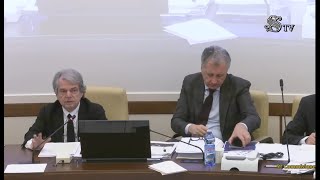 Audizione del Presidente del CNEL sul DDL Bilancio 2024 [upl. by Ezechiel]