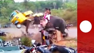 Elephant goes on rampage flipping 27 vehicles India [upl. by Menard40]