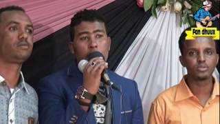 NEW SOMALI MUSIC HEES CUSUB DAHIR LOVE AMAAR ALLE HADI AAN ABAYOY BY FAN DHUUX [upl. by Odlareg]