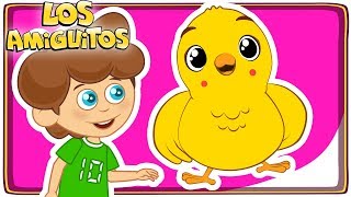 Pollito Amarillito 🐥 y muchas máss cancion infantil  Los Amiguitos [upl. by Simone]