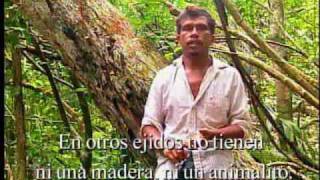 CONABIO Documentales  Cuidar la Selva y hacerla Producir  Si hay solución 67 [upl. by Sanalda]