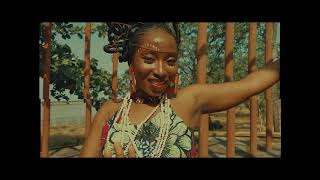 Fela Kuti Beasts of No Nation MUSIC VIDEO [upl. by Yrelav267]