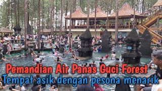 Guci Forest Wisata yang lagi hits di tegal [upl. by Yonit]