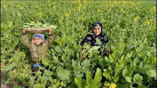 Sarson Ka Saag by Village Women I Village Family Vlogs I Happy Joint Family [upl. by Viveca381]