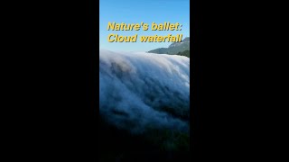 Cloud waterfall flows down Chinas Jinfoshan Mountain [upl. by Eloise]