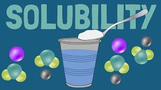 How Solubility and Dissolving Work [upl. by Aneerb18]