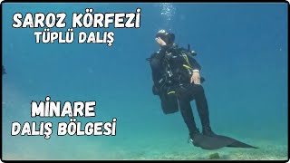 Saros Körfezi Tüplü Dalış  Minare Dalış Bölgesi  Scuba Diving [upl. by Ikilisav]