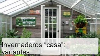 Invernaderos variantes estructuras y medidas para un hogar perfecto [upl. by Einnad22]