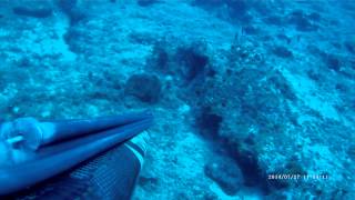 Heraklion crete deep spearfishing [upl. by Colinson]