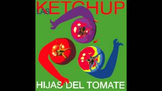 Las Ketchup  The Ketchup Song Asereje Hippy Version [upl. by Eseilanna]