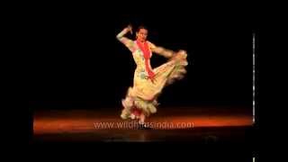 Amazing grace and power of Spanish flamenco dance [upl. by Gillette]