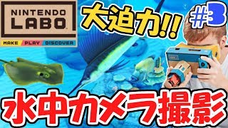 VRカメラで水中撮影海の中には魚がいっぱいニンテンドーラボVRキット最速実況Part3【NintendoLabo】 [upl. by Gayla649]