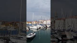 Beautiful city Piran travel europe shorts [upl. by Eramal221]