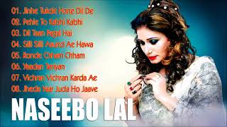 NASEEBO LAL  Top 10 Sad Songs Of Naseebo Lal  Naseebo Lal Sad Song rai production mix song nirmal [upl. by Eilujna885]