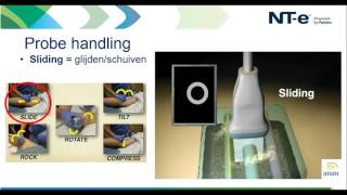 Webinar  Basismodule echografie  Probe handling amp skills [upl. by Eilsil399]