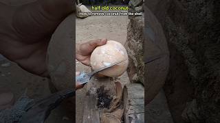 semiold coconut how to remove coconut from the shell [upl. by Aidnic946]