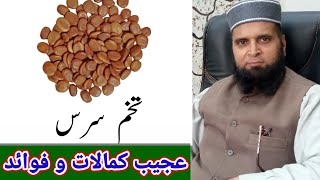 تخم سرس کے کمالات و فوائد۔۔ benefits of lebbek tree seeds۔by tabib ubaidullah anwer [upl. by Sunshine]