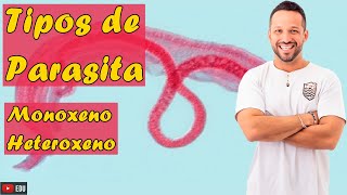 Tipos de Parasita  Monoxeno e Heteroxeno  Parasitologia  Programa de Saúde [upl. by Yniatirb121]