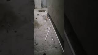 electrical samarsible pinal installation नया समरसिबल पईनल lagaye viralshort viral youtubeshor [upl. by Barna]