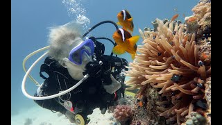 Video experiencia Taganga Dive Station [upl. by Lobell]